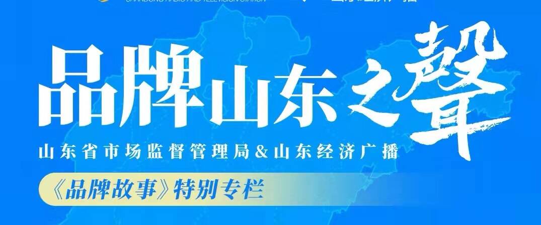 知识产权看山东淄博市人大财经委开展《山东省知识产权保护和促进条例》贯彻实施情况执法检查(图1)