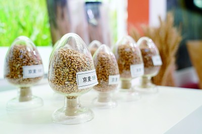 保JDB电子护知识产权就是保护创新(图4)